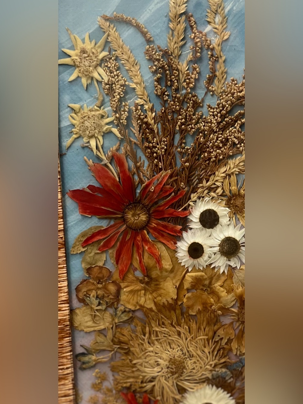 Vintage 1977 Polish Dried Flower Art,Rzeszów Botanical Shadow Box,16,5”x7,5” - Picture 8 of 12